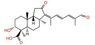 Jaspiferal C